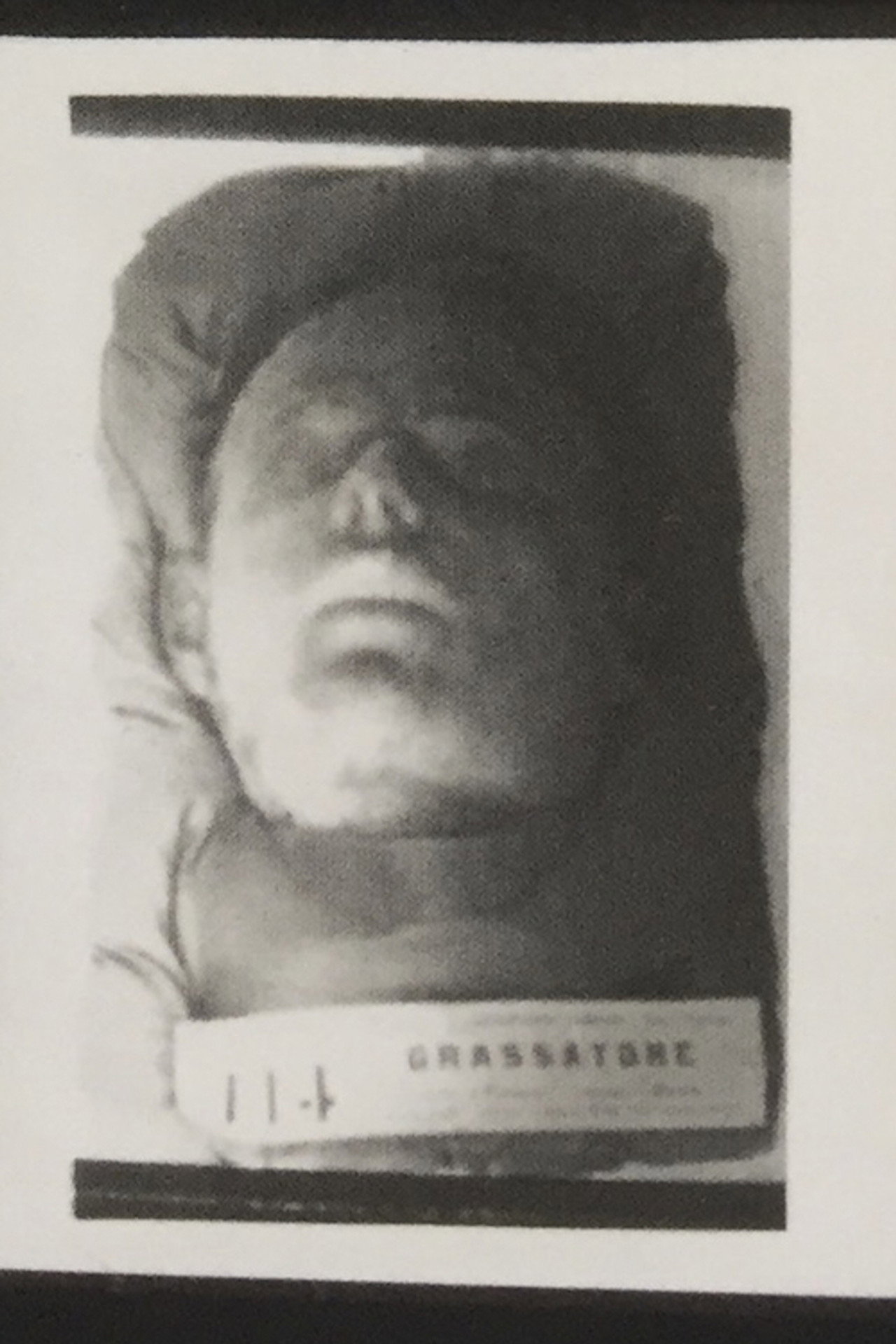 Cesare Lombroso - Sull'odore del garofano