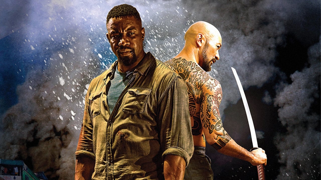 Falcon Rising (2014)