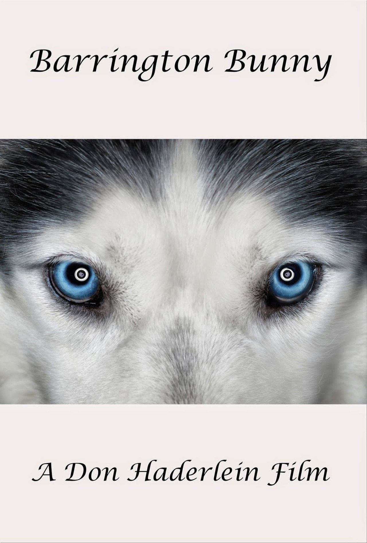 Barrington Bunny Backdrop