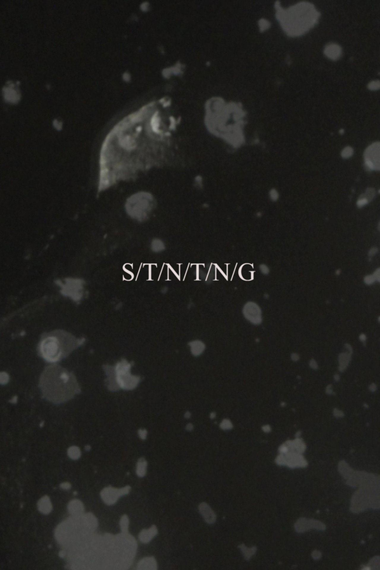 S/T/N/T/N/G