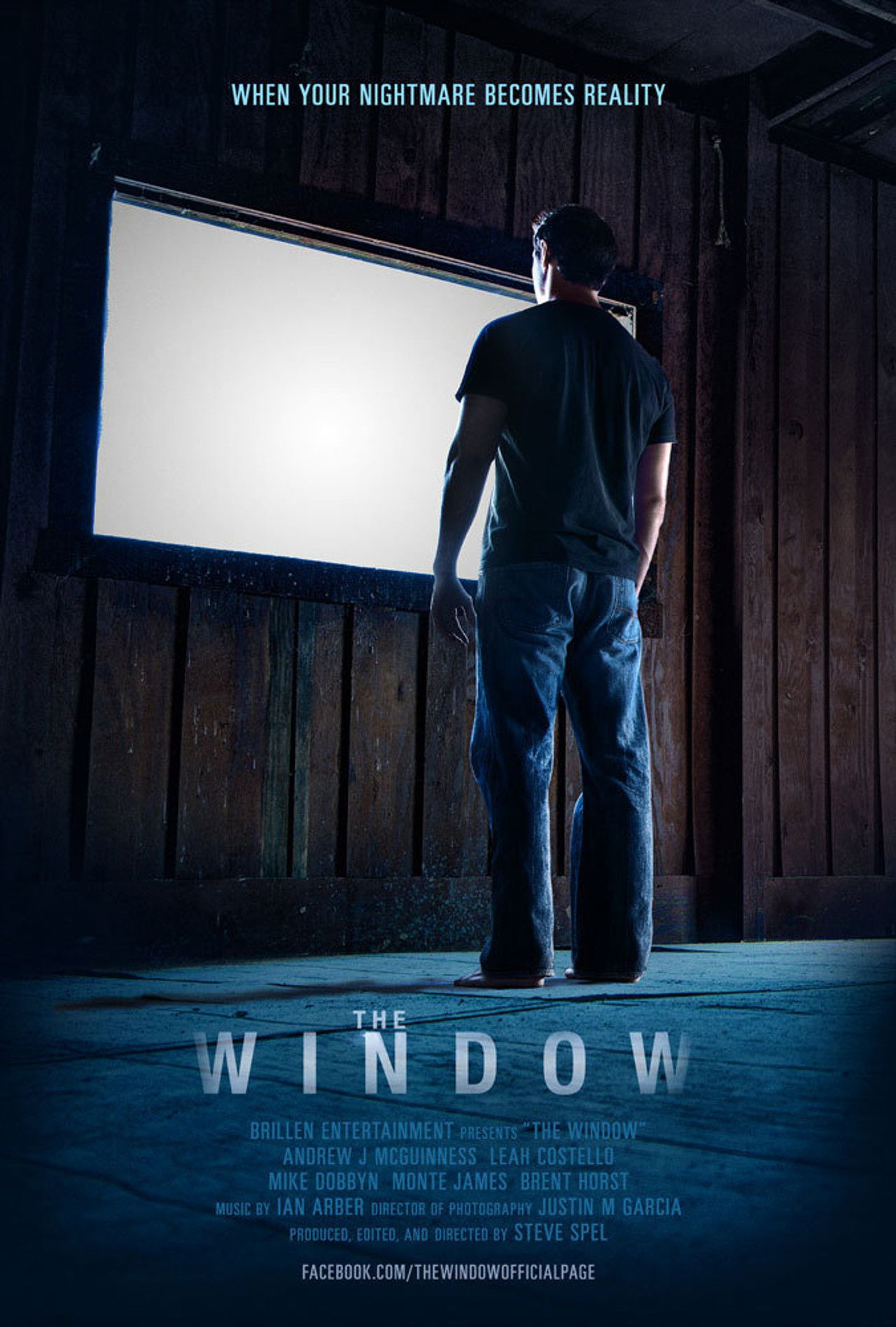 The Window poster