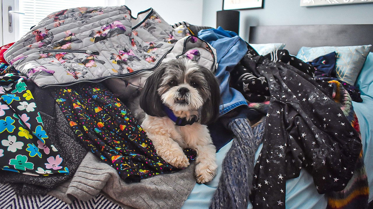 Dog Squad — Épisode 4