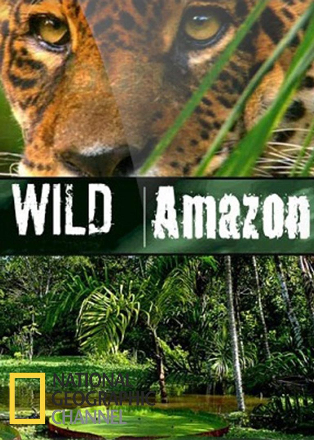 Wild Amazon affisch