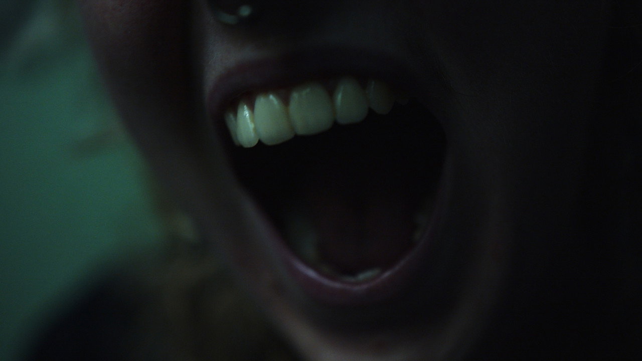 Immagine di copertina del trailer di Mildew