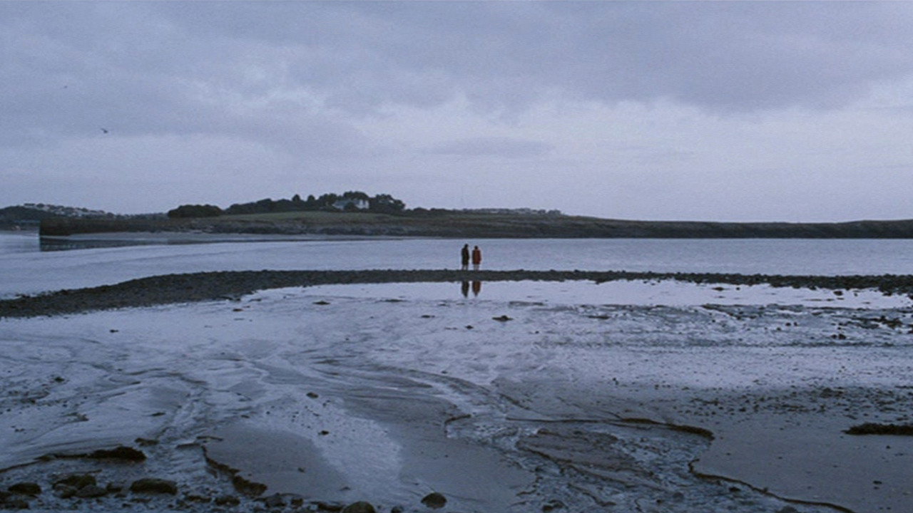 scenes 31