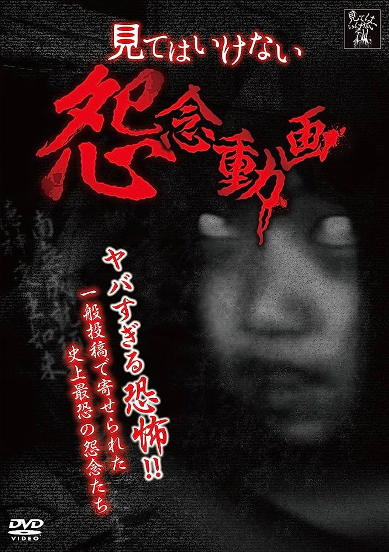 A Grudge Video That You Shouldn't Watch poster