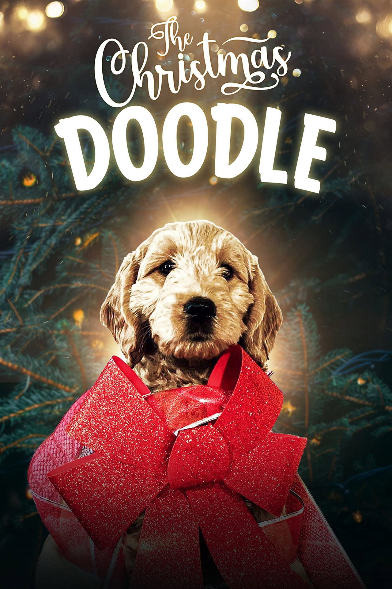 The Christmas Doodle filmaffisch
