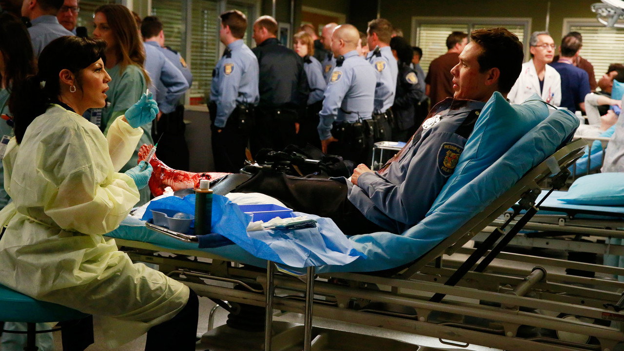 Anatomia De Grey Temporada 17 Torrent