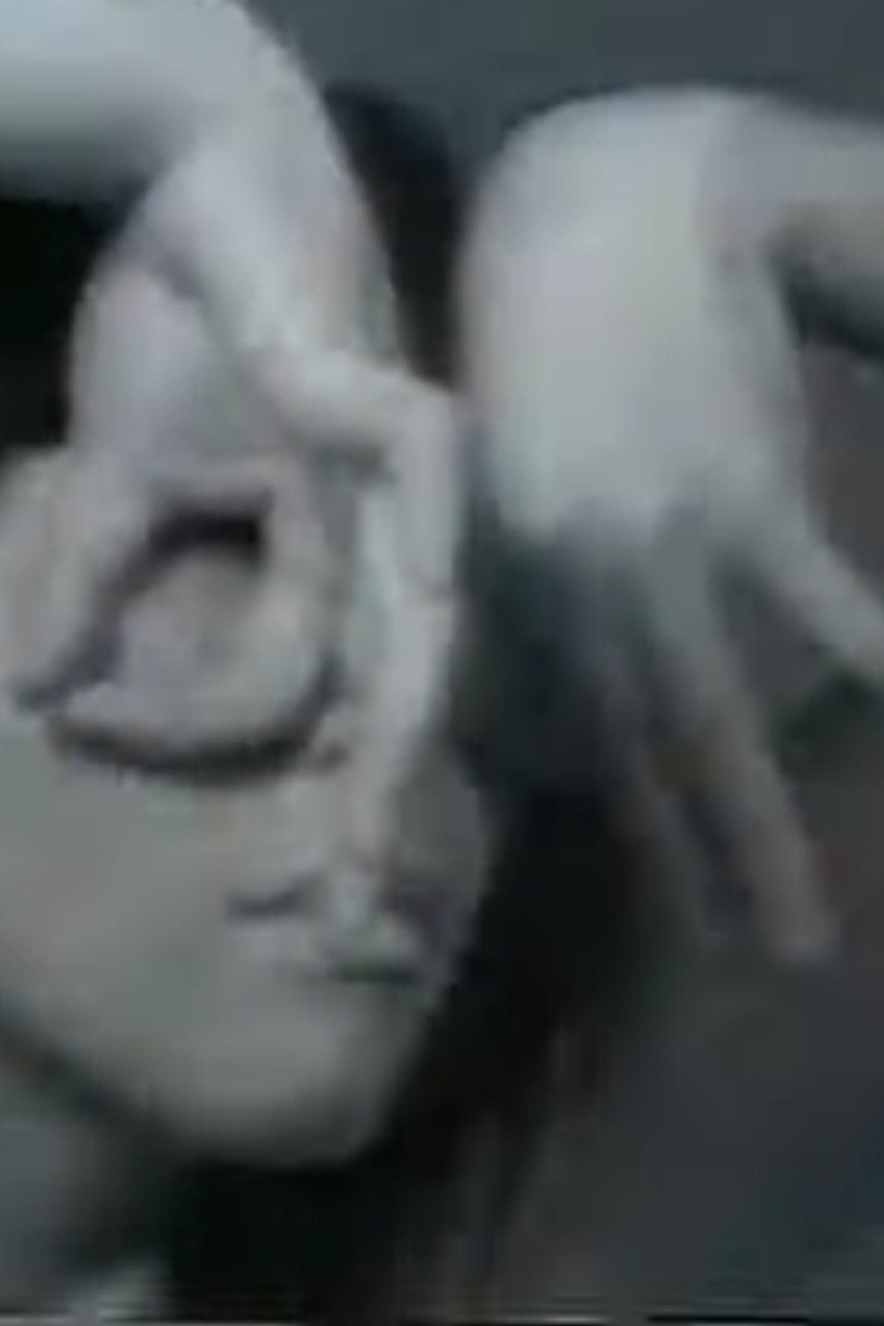 Iris filmaffisch