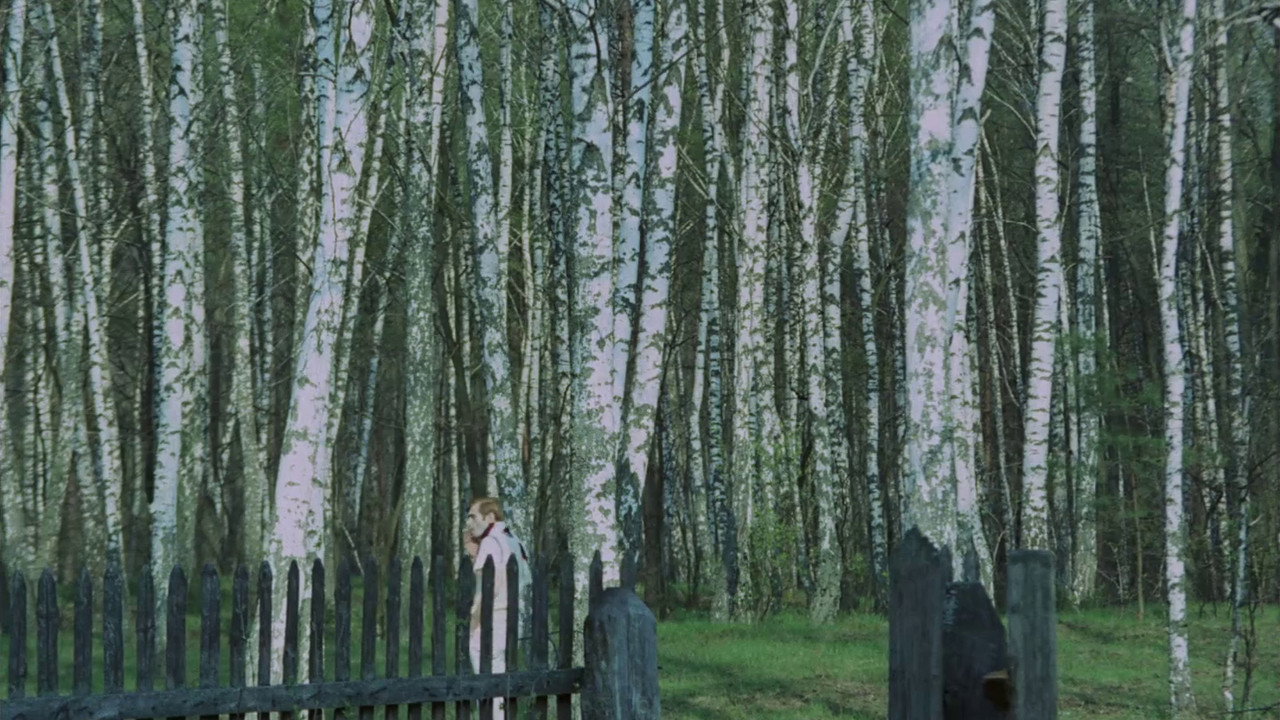 scenes 16