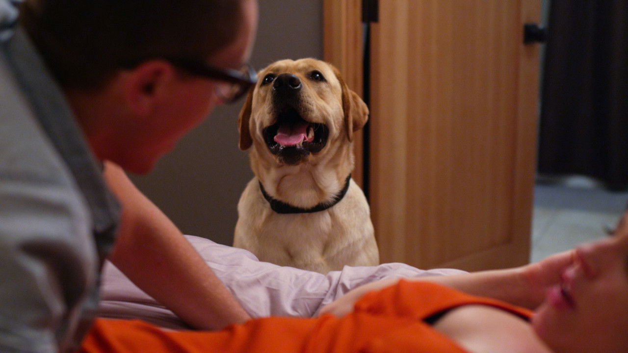 CollegeHumor Shorts — Épisode 16