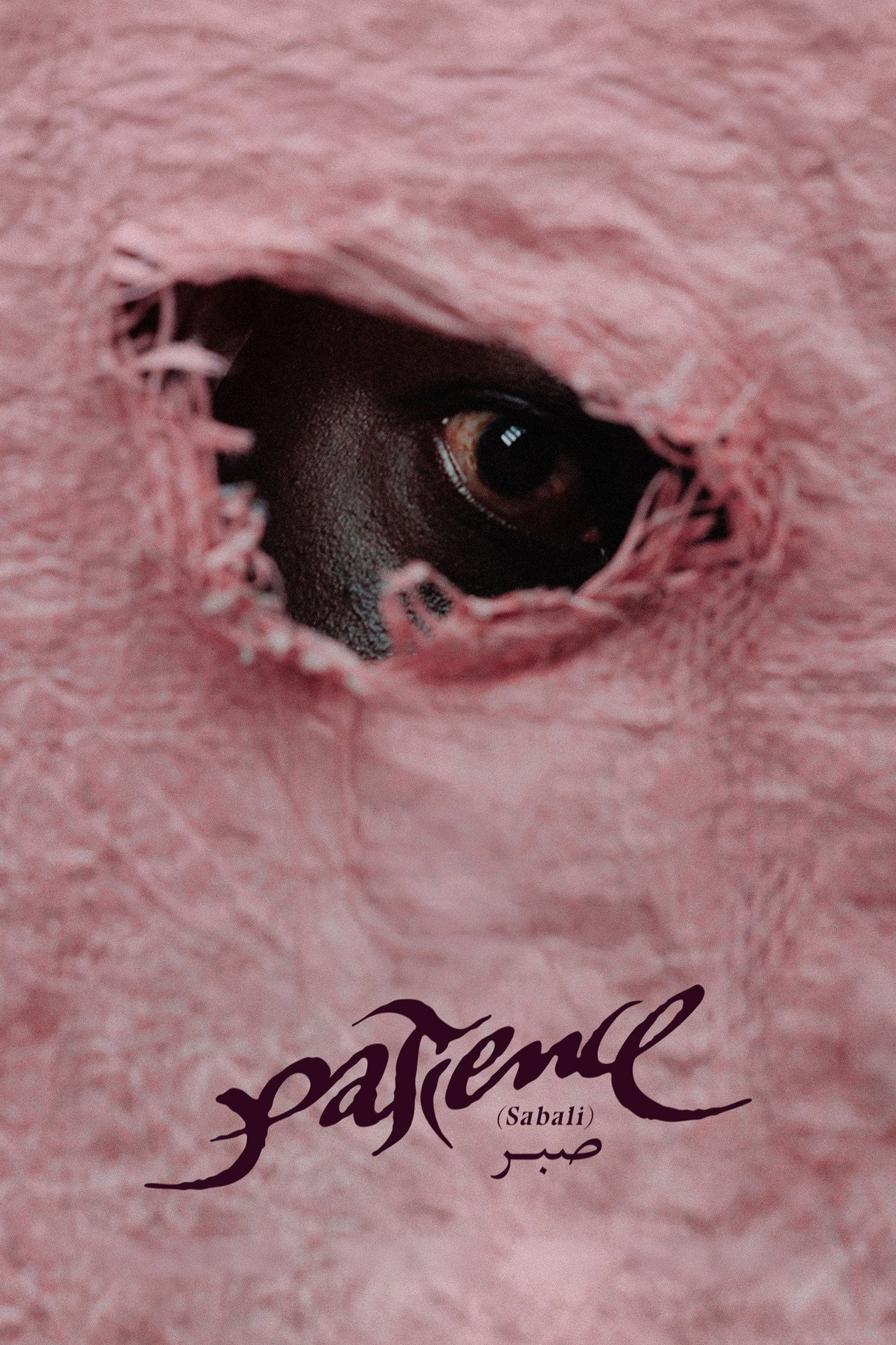 Patience (Sabali)
