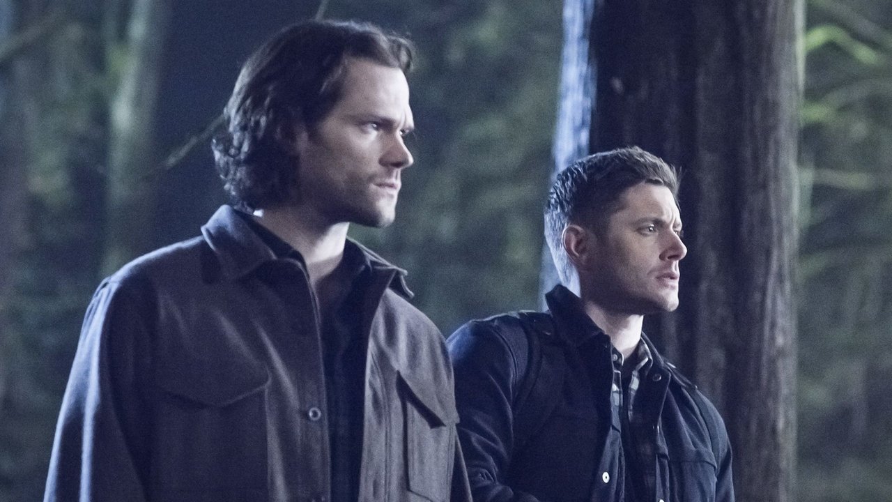 Supernatural - Season 14 Episode 16 : Don't Go in the Woods