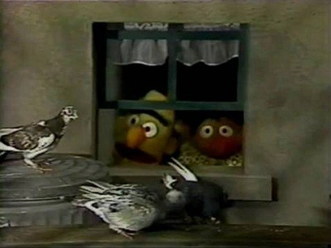 Sesame Street - Season 20 Episode 9 : Episode 578