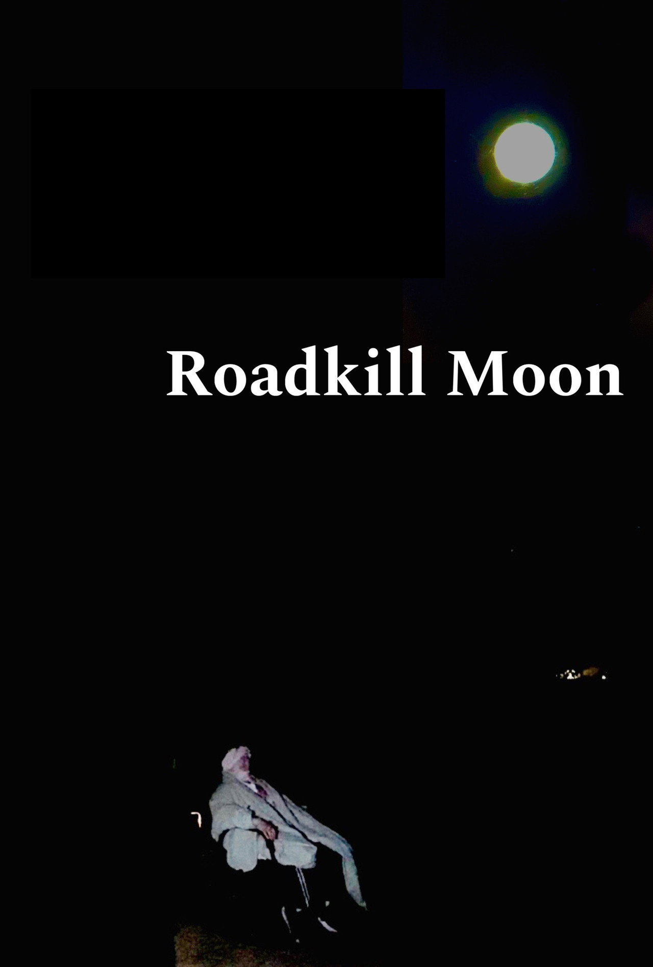Roadkill Moon filmaffisch