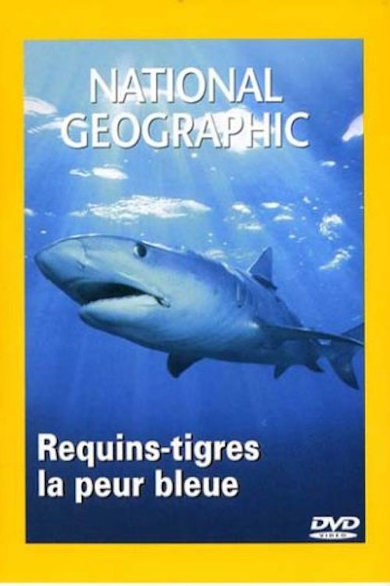 National Geographic : Requins-tigres, la peur bleue poster