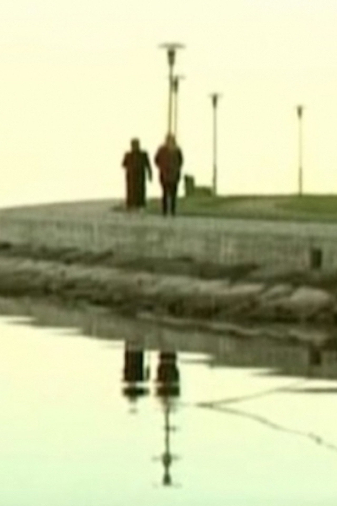 Našlių pakrantė filmaffisch