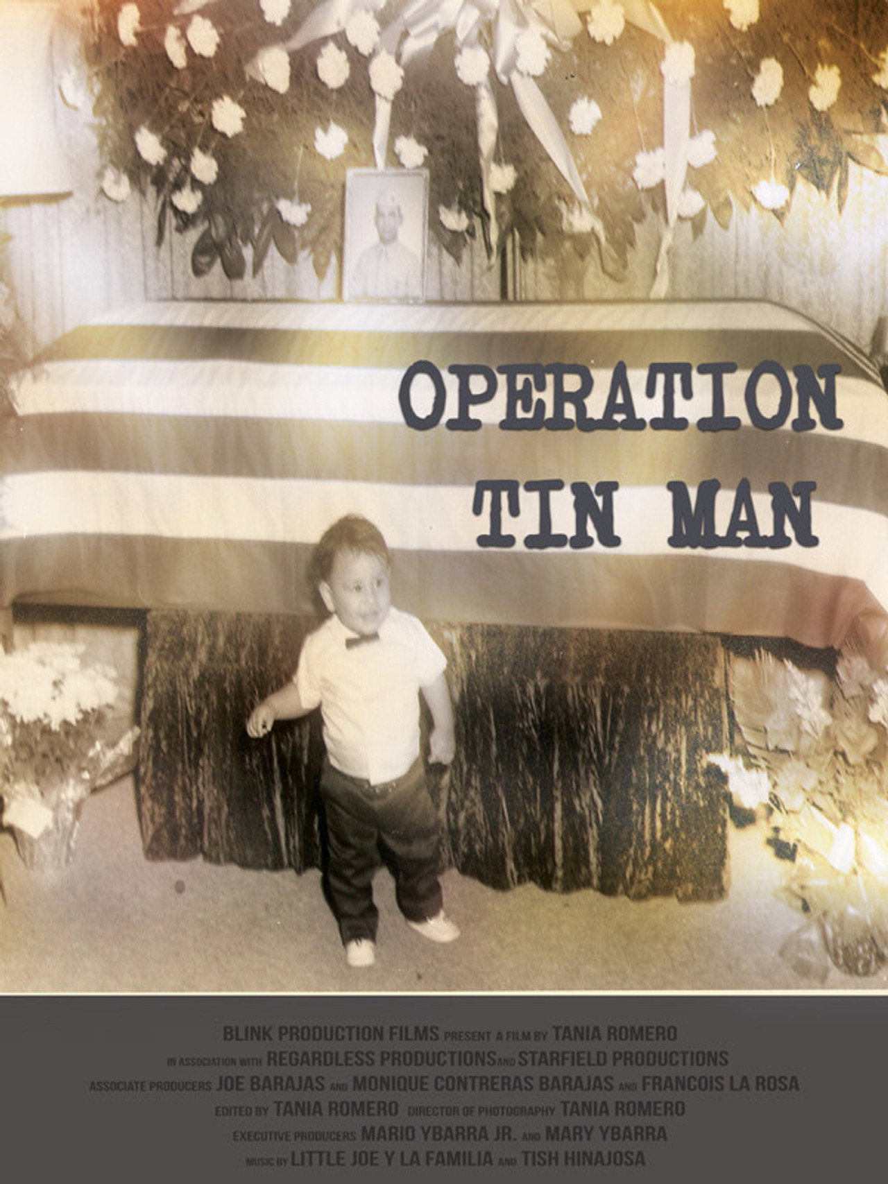 Operation Tin Man