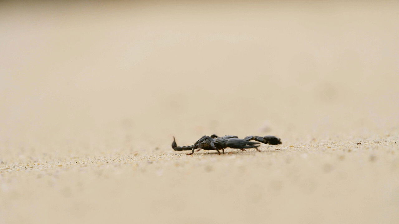 Robinson - Season 25 Episode 17 : Episode 17