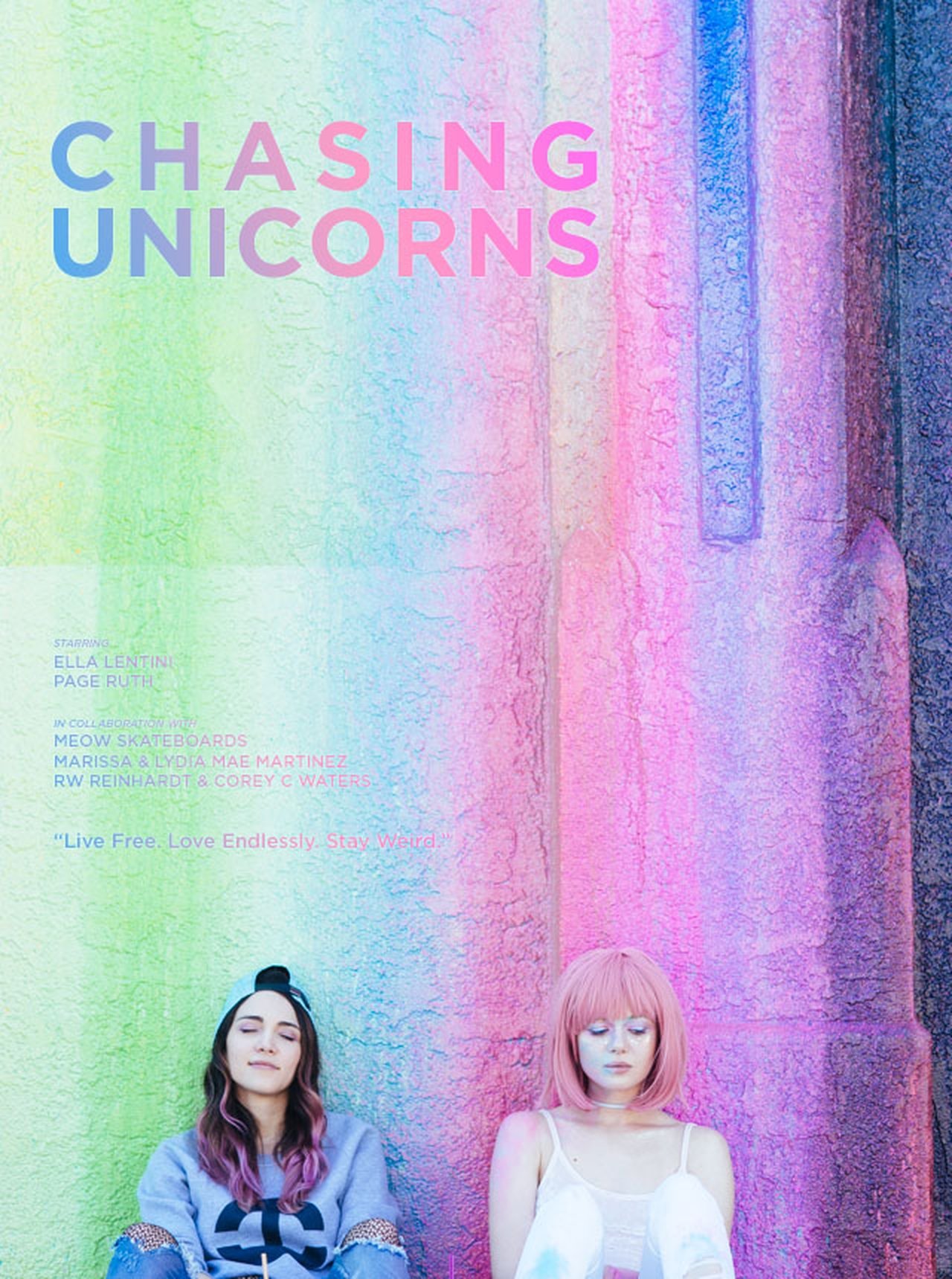 Chasing Unicorns Chasing Unicorns