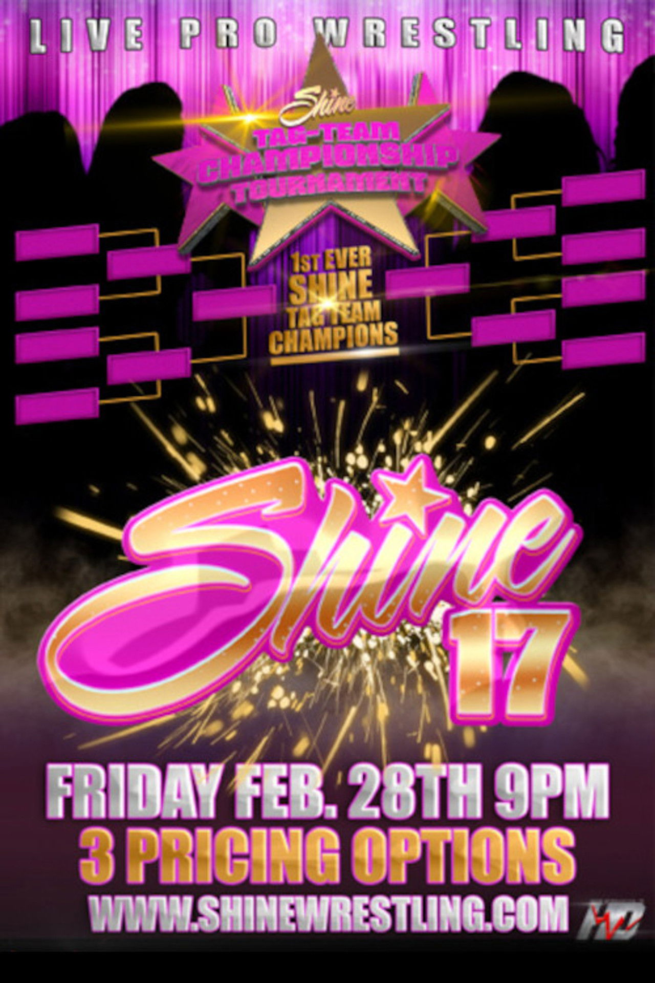 SHINE 17 Backdrop