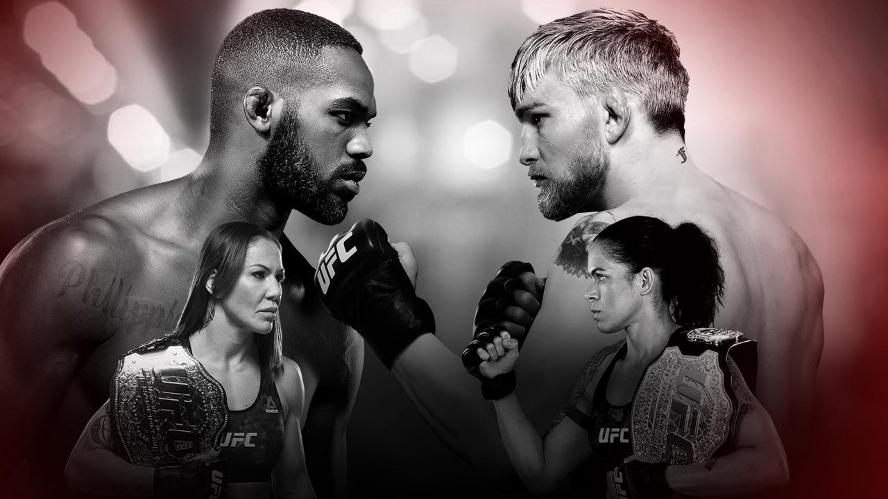 Scen från UFC 232: Jones vs. Gustafsson 2