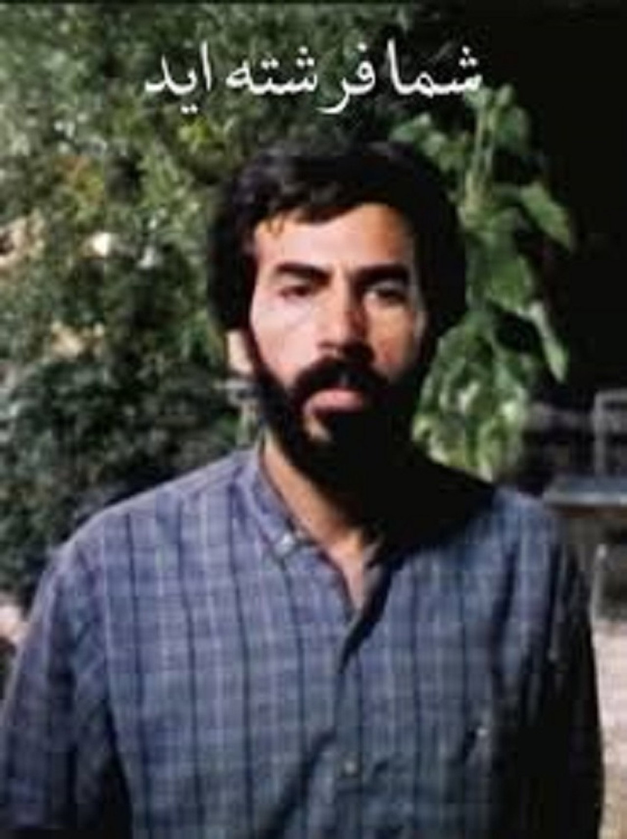 شما فرشته اید filmaffisch