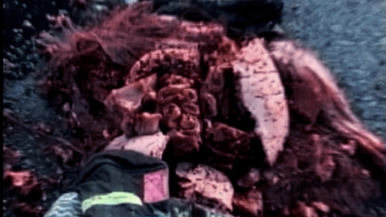 title image