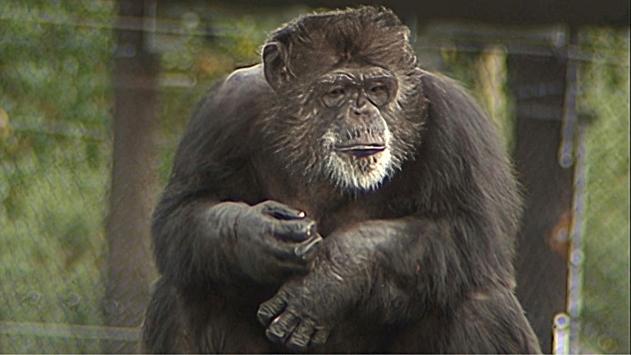 Monkey Business — Épisode 14