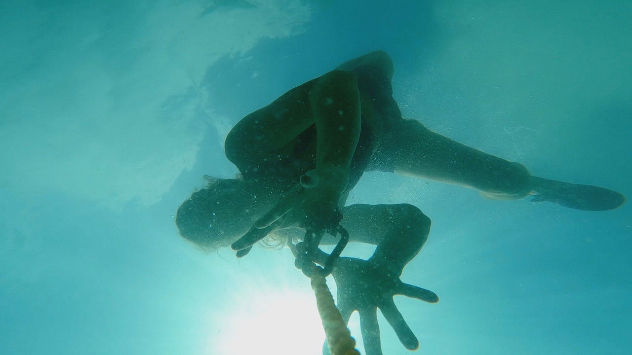 Robinson - Season 28 Episode 22 : Episode 22