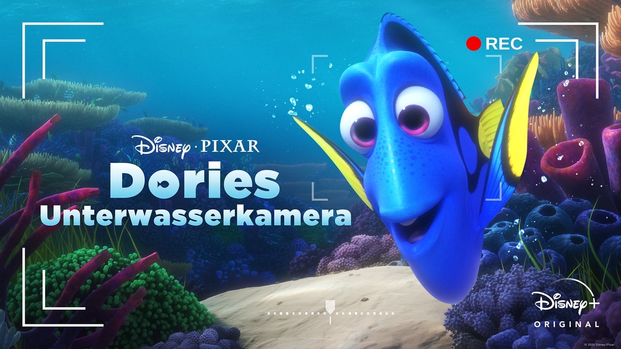 Dory's Reef Cam background