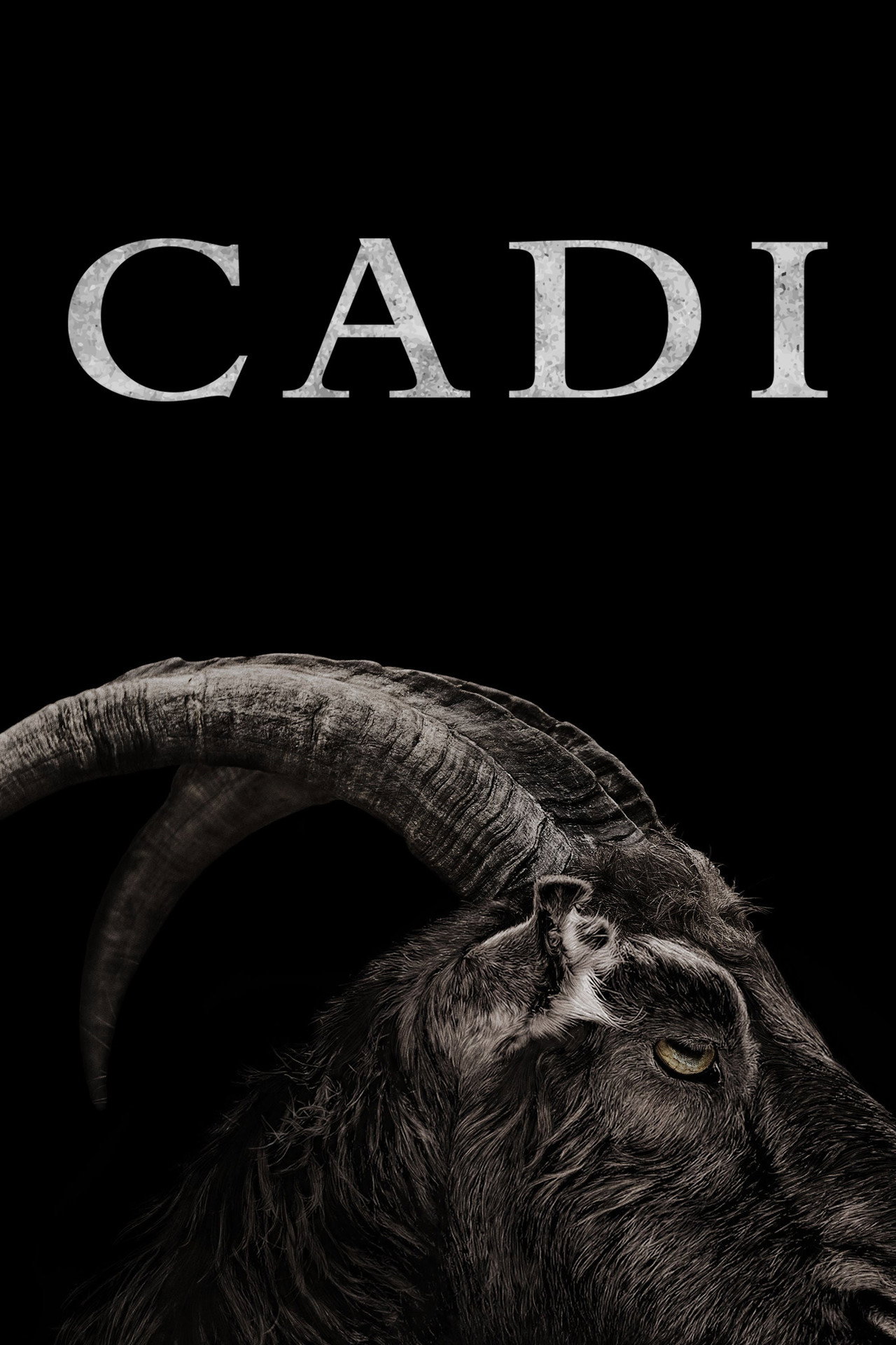 Cadı Poster