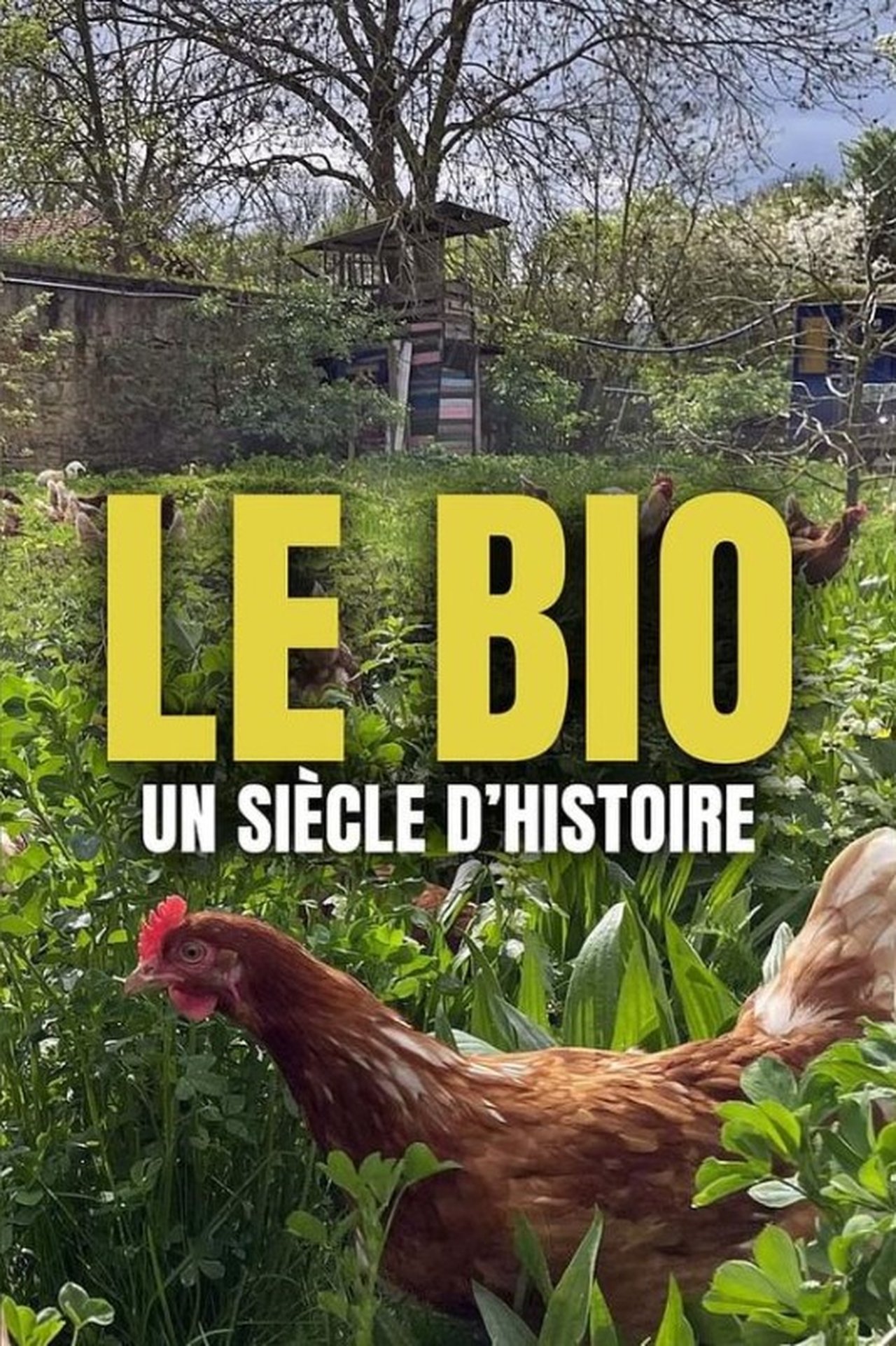 Le bio : un siècle d'histoire poster