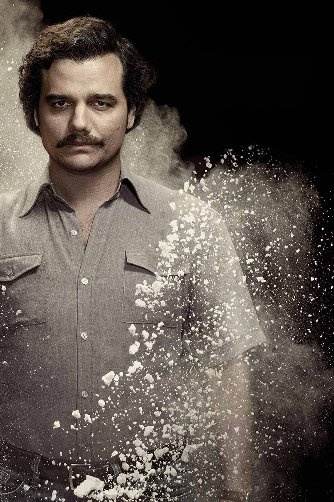 Narcos (2015) Hindi Dubbed Complete Season 1 backdrop