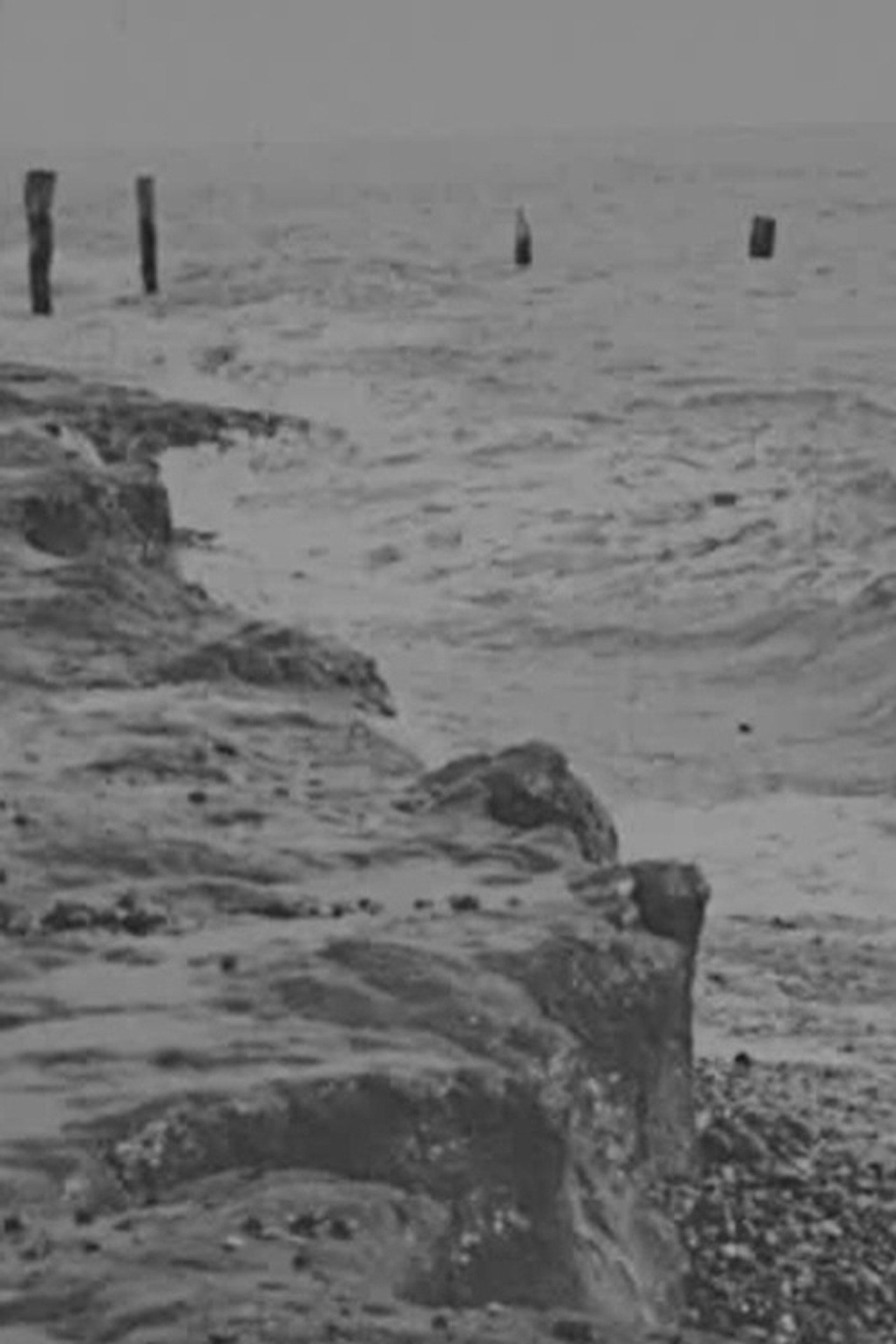 Incoming Tide Backdrop