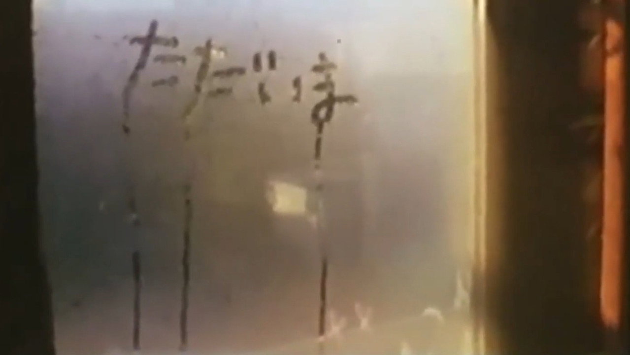 This World (A Correspondence Between Naomi Kawase and Hirokazu Koreeda) still 2