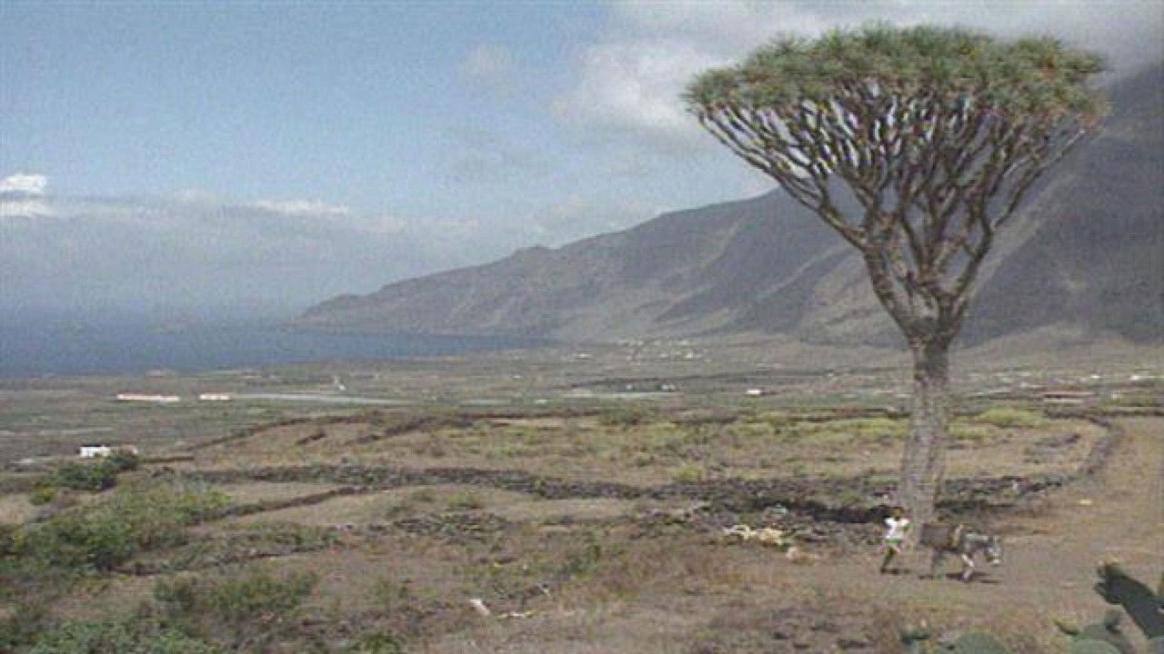 Senderos isleños — Épisode 8