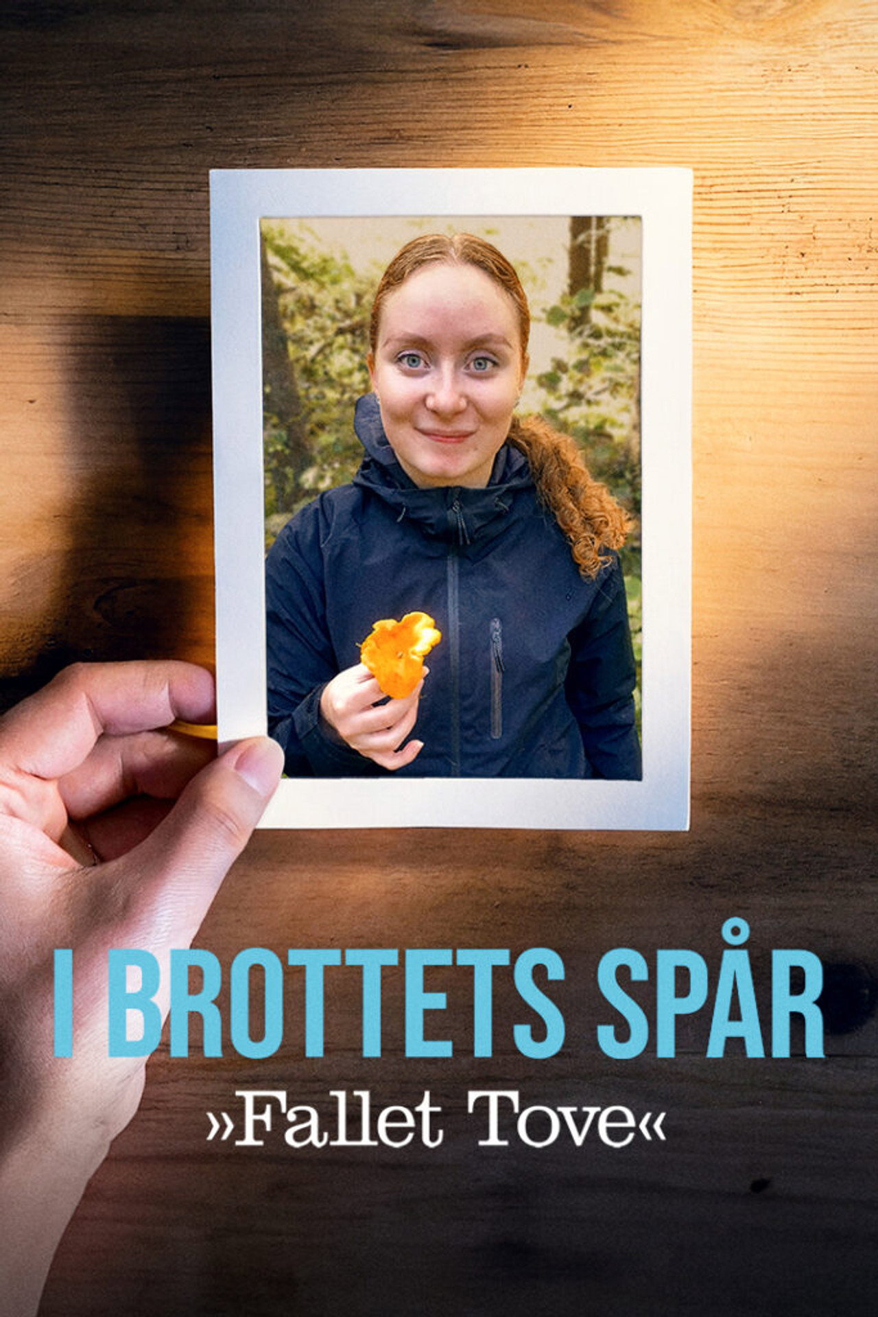 I brottets spår: Fallet Tove affisch