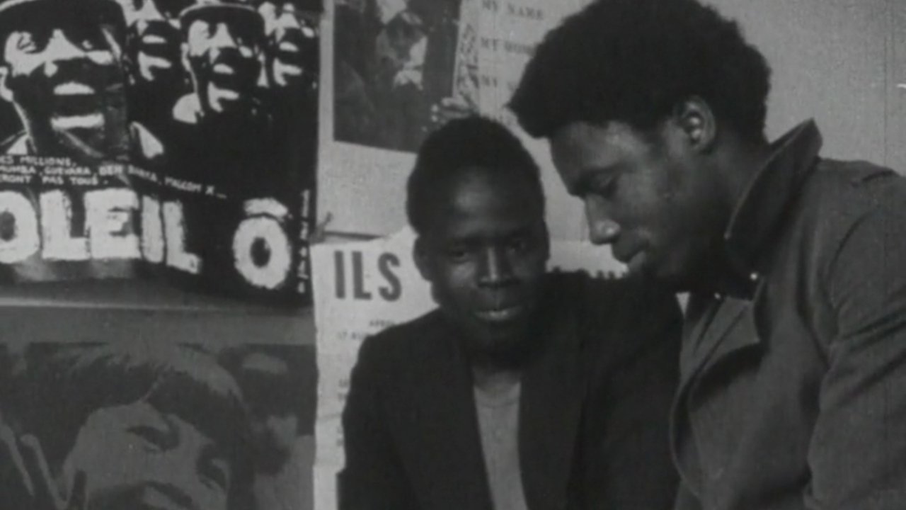 Nationality: Immigrant