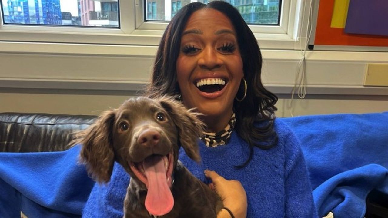 For the Love of Dogs - Season 13 Episode 2 : Episode 2