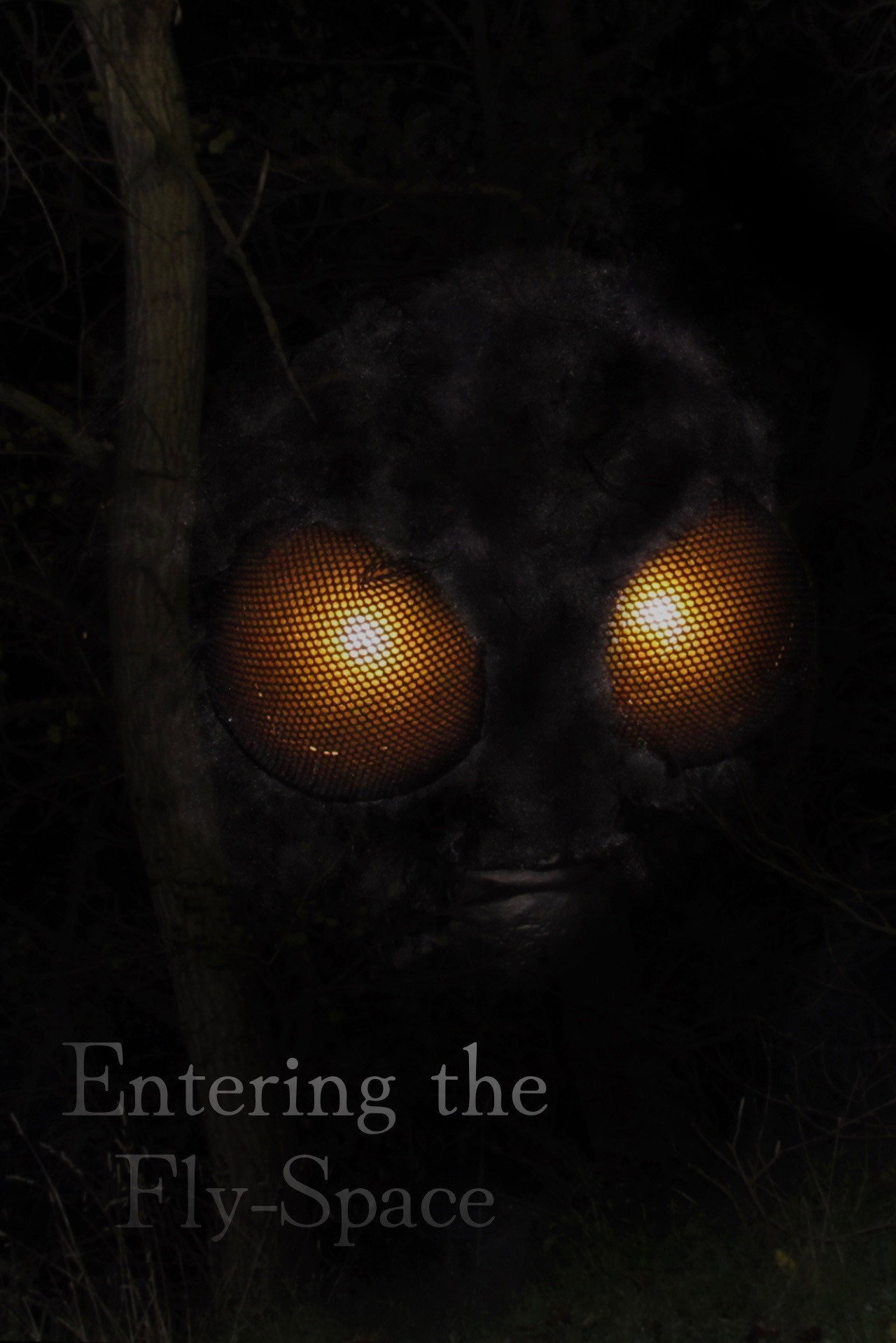 Entering the Fly-Space