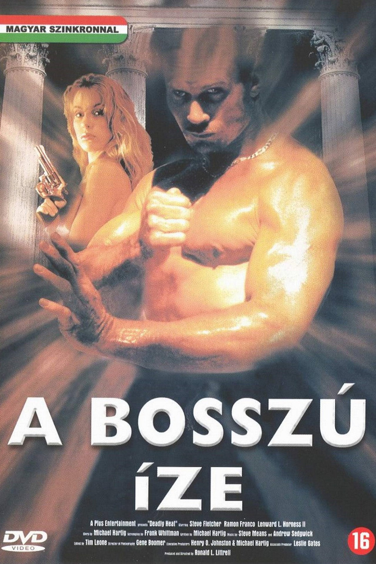 A bosszú íze – plakát 3