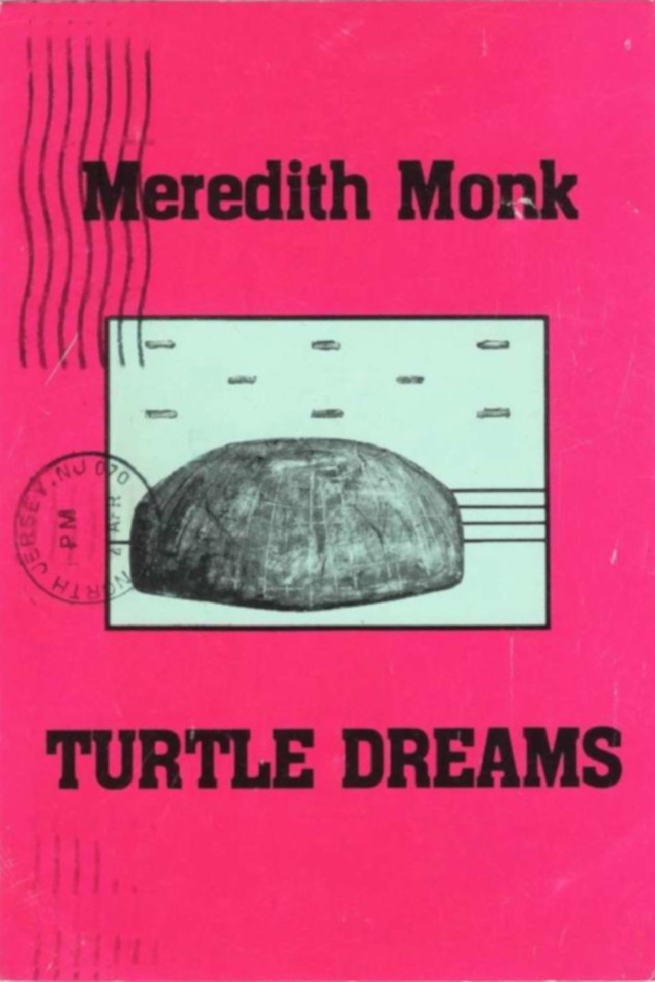 Turtle Dreams Turtle Dreams