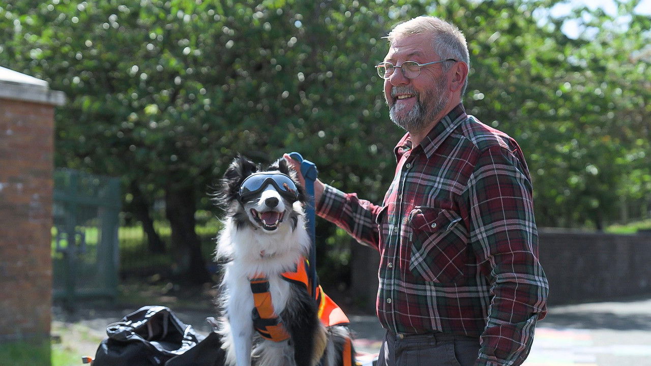 Dog Squad — Épisode 10