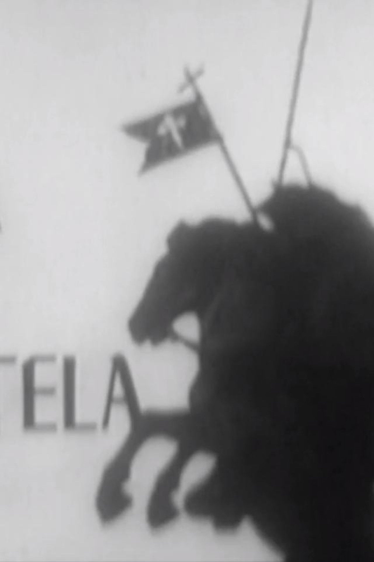 Misa en Compostela Backdrop