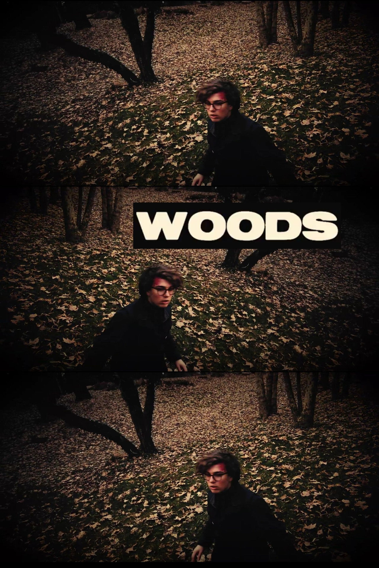 Woods filmaffisch