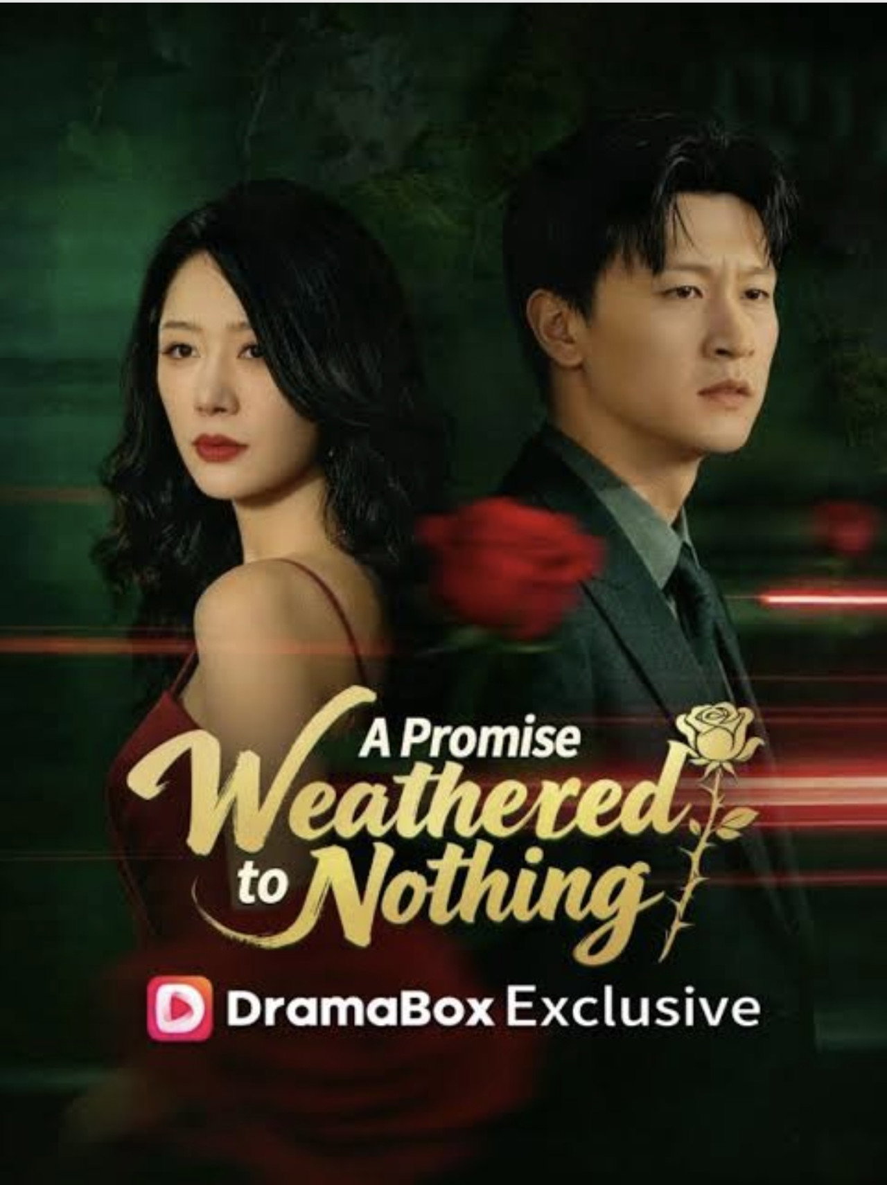 A Promise Weathered to Nothing