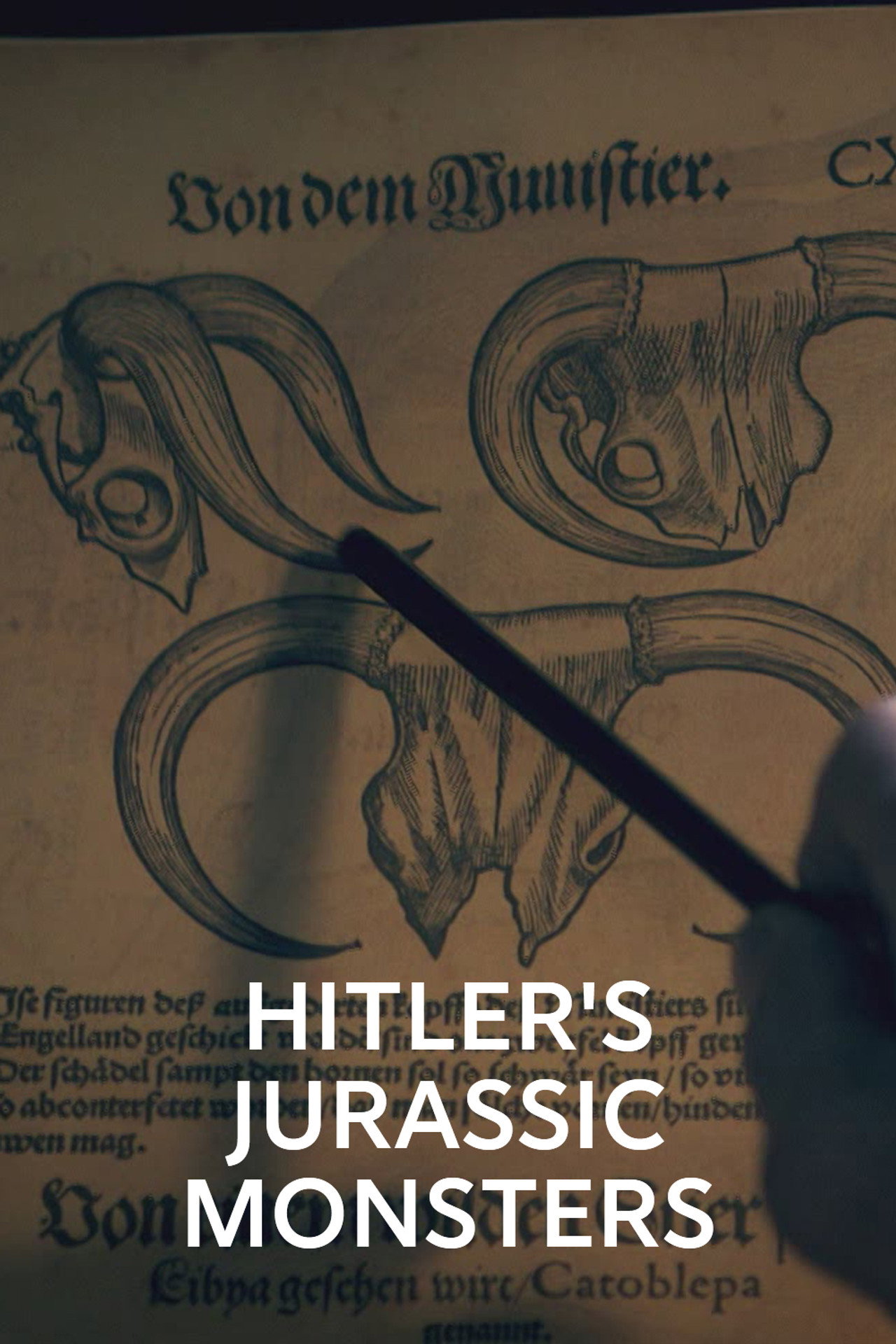 Hitler Jurassic szörnyetegei – plakát 4