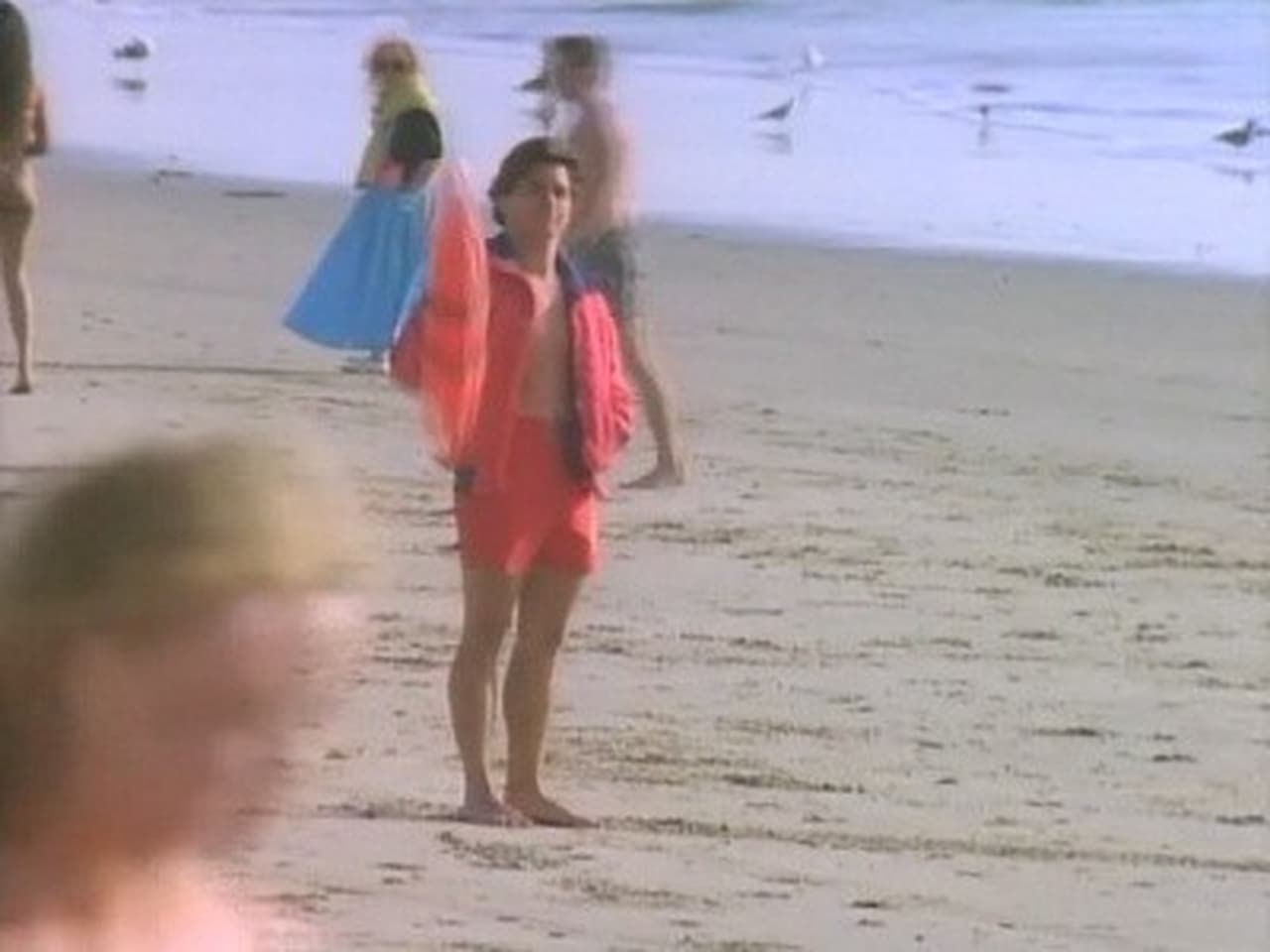 Baywatch - Season 2 Episode 22 : The Summer of '85
