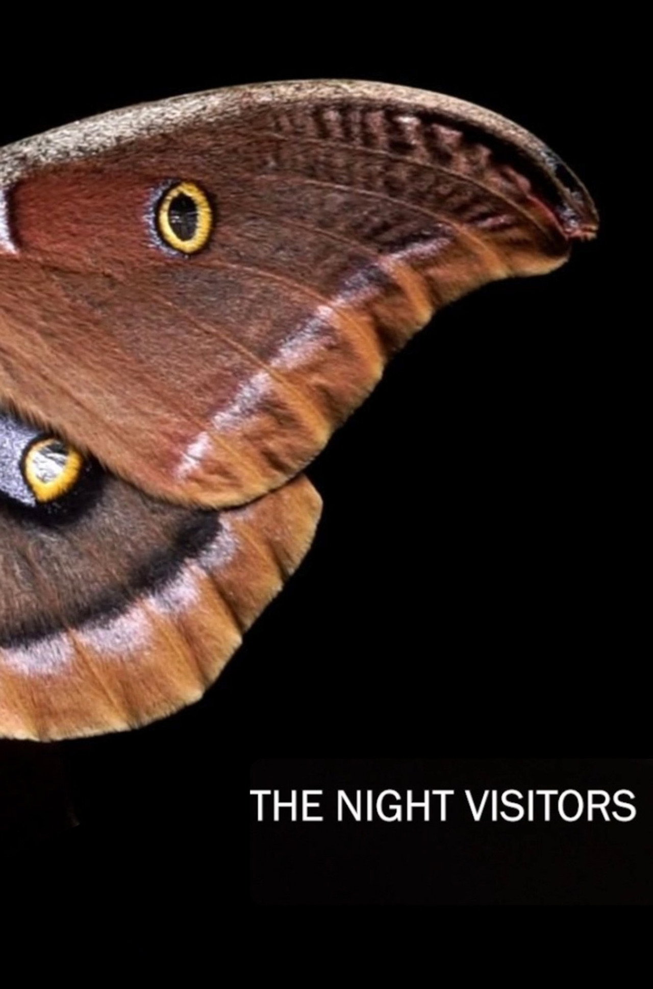 The Night Visitors filmaffisch
